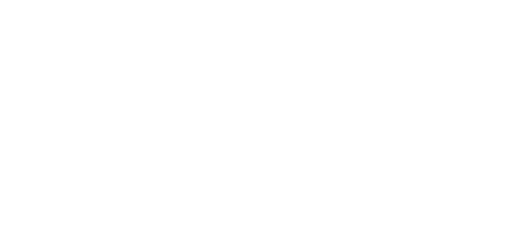 The North Face Pro